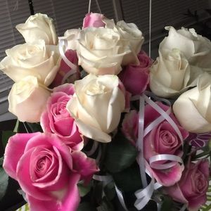 Meet your Posher, Zhanna